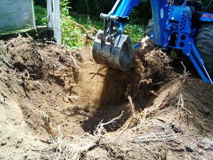 Rockland County stump removal