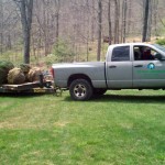 tree and shrub planting in lower NY state
