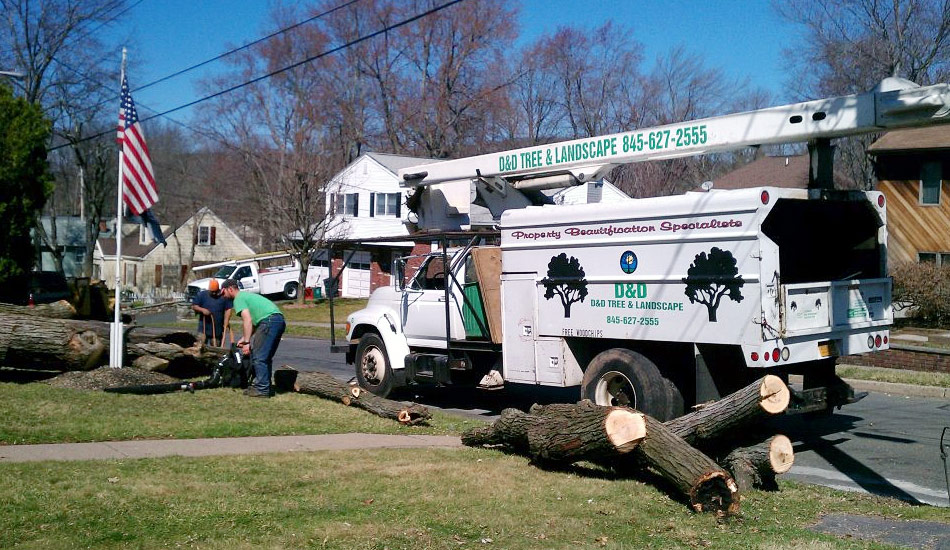 tree cutting company Westchester County NY